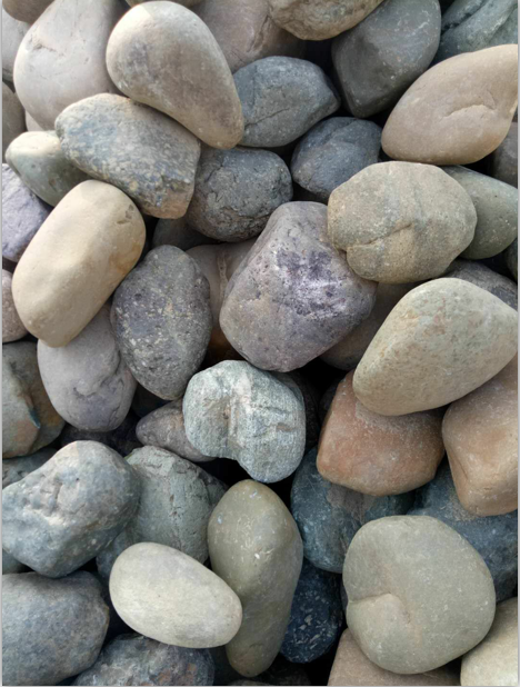杂色丝瓜视频在线免费观看2.png